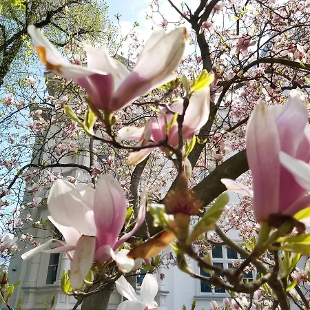 Stara Biblioteka Apartmanhotel Wrocław