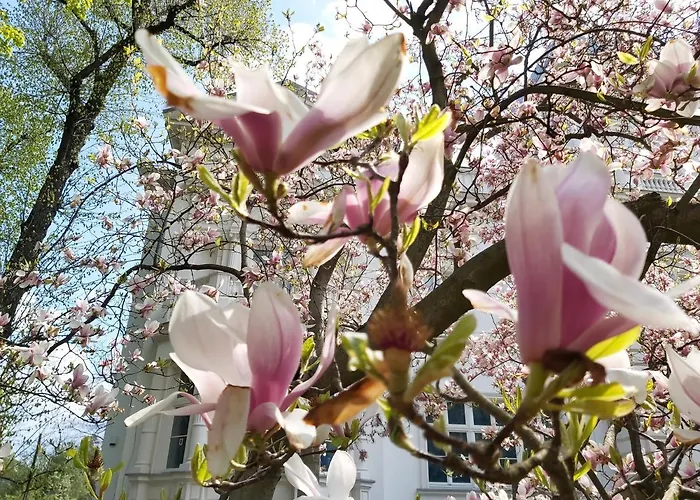 Stara Biblioteka Aparthotel Wrocław